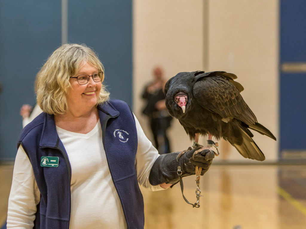 Ginnie Ross, a volunteer for the Audubon Society of Portland with Ruby, a turkey vulture during the live bird show at View Ridge Middle School. Photo by Mike Schultz.