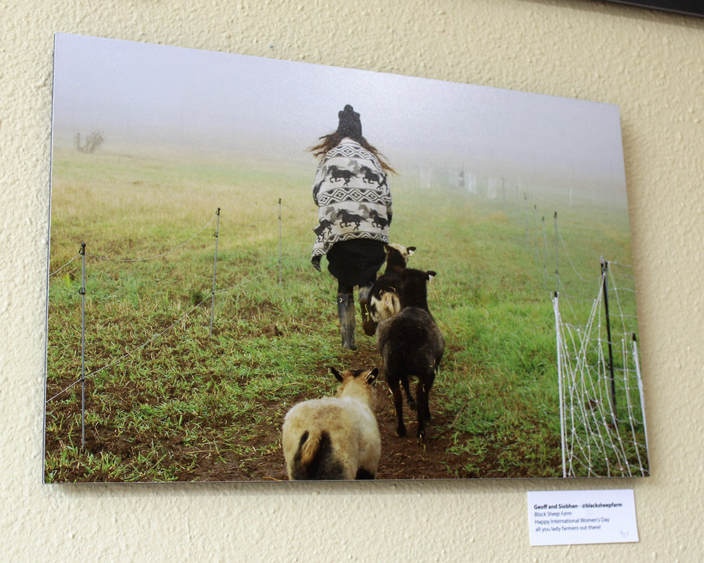 Some of the photos included in the Food Culture of Southwest Washington art exhibit, sponsored by Slow Food Southwest Washington and now on display at the Angst Gallery, 1015 Main St., Vancouver, connect Clark County art-lovers to some of the area’s farmers, including the farmer from Black Sheep Creamery in Adna, Wash., shown here. Photo by Kelly Moyer