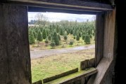 A family tradition: Thornton’s Treeland