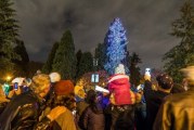Annual Festival of Trees offers musical entertainment, tree lighting and more