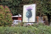 Wineries throughout Clark County host Thanksgiving weekend winery tour