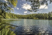 Fish Black Friday for big rainbow trout