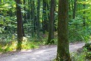 Burnt Bridge Creek Trail to close for Oct. 29-30 weekend
