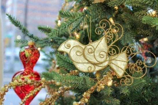 festival-of-trees-bird-jpg