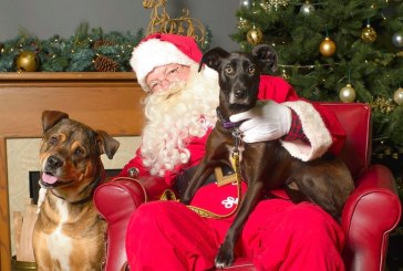 The Humane Society for Southwest Washington welcomes return of the holidays
