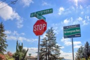Too fast, too many? To improve Vancouver’s historic Evergreen Highway, city leaders may look to reduce speed limits, discourage morning commuters