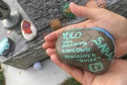 People find joy, excitement in painted rocks