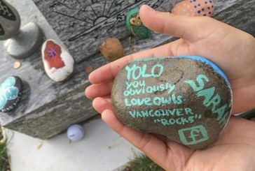 People find joy, excitement in painted rocks