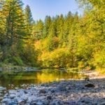 Washougal residents want more retail, a community center and better-maintained streets