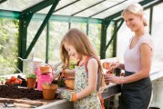 Master Composter/Recycler program offers two free classes