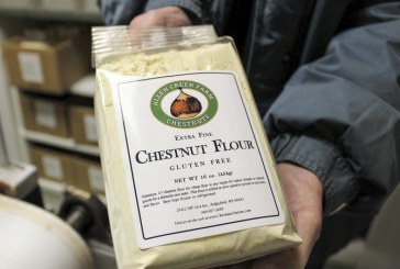 Ridgefield chestnut farmers thrive in niche market