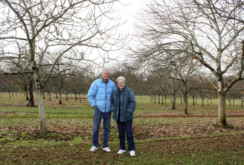 Ray and Carolyn Young stand near the edge of their 20-acre chestnut orchard in Ridgefield. After 20 years of chestnut farming, the Youngs say they’re ready for their ‘second retirement’ and are selling the farm and downsizing to Battle Ground. Photo by Kelly Moyer