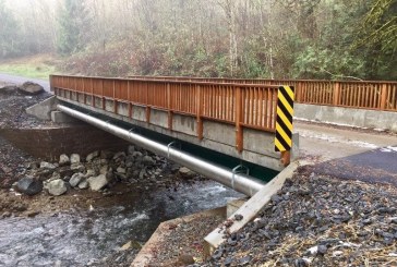 La Center residents getting back to normal one year after flood destroys the only road into their development