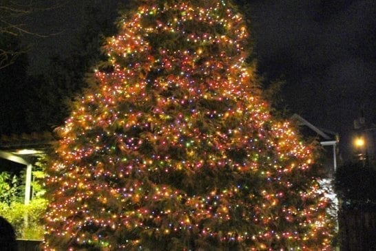 washougal-holiday-parade-tree-lighting-jpg