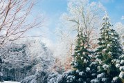 Winter storm watch in effect, Camas schools delayed