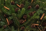 National Park Service will host ‘Christmas at Fort Vancouver’ on Dec. 10