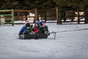 School Closures