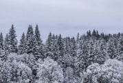 Freezing temperatures add to Clark County’s winter weather woes