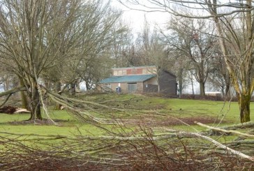 Vancouver Lake Regional Park to remain closed for post-storm cleanup