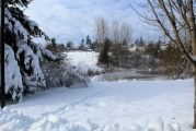 County offices to open at 10 a.m., courthouse to open at noon, Jan. 17