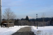 Some city offices closing early today, meetings canceled