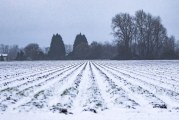 National Weather Service issues wind advisory