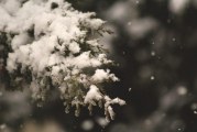 School Closures and Delays