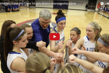 Wildcats cruise into Class 1A girls district championship game