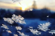 School Closures and Delays