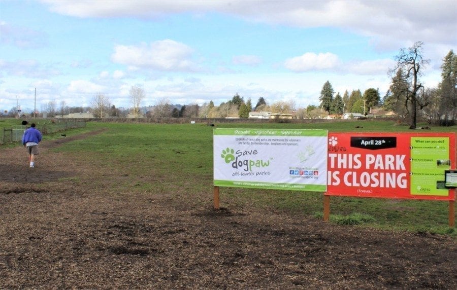 The popular Stevenson Dog Park in Washougal is closing at the end of April. Here, John Bartholomew and his 15-month-old Boston terrier, Rosy, take advantage of a rare sunbreak at the 8-acre dog park on Fri., March 10.Photo by Kelly Moyer