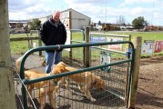 Off-leash dog parks throughout Clark County at risk