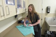 Making a difference: Hannah Stuchlik