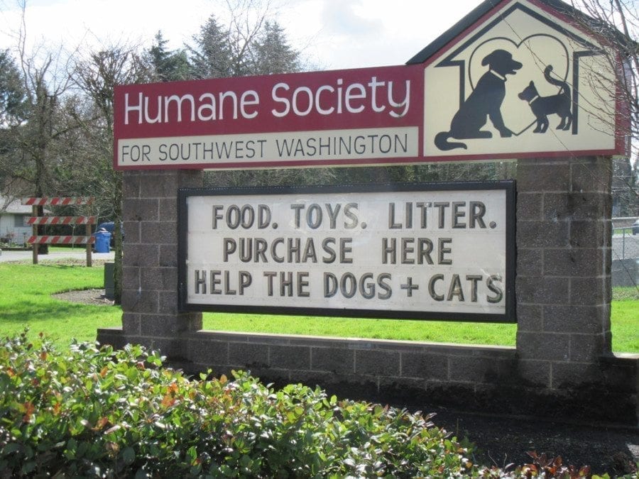 Last year, 57 teen volunteers contributed 2,984 service hours to the Humane Society for Southwest Washington. Photo courtesy of Carolyn Schultz-Rathbun