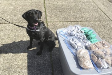 Major heroin bust made in Clark County