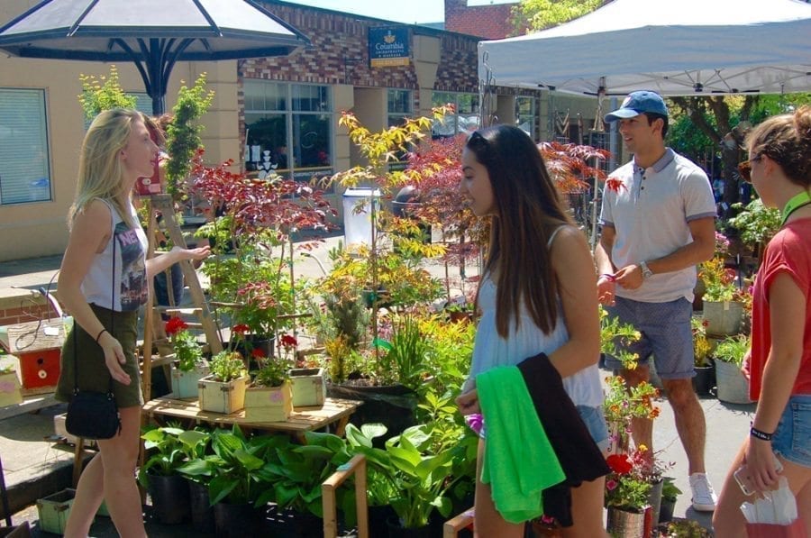 The Plant & Garden Fair hosts over 100 vendors and is organized by the Downtown Camas Association. Photo courtesy of Downtown Camas Association 