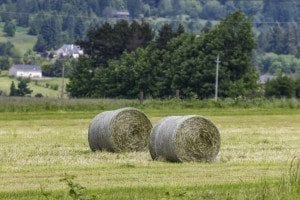 The state Growth Management Hearings Board ruled March 23 that certain portions of the county's 2016 plan update do not comply with requirements of the Growth Management Act. Those issues were remanded to the county for further work. Photo by Mike Schultz