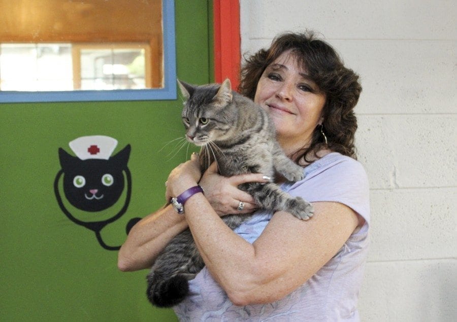 In 2016, while volunteering at Furry Friends, Sandy Bush had about 200 cats under her care Photo courtesy of Diane Stevens