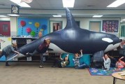 Woodland Primary School uses data analysis, teamwork, engaging events to improve student learning