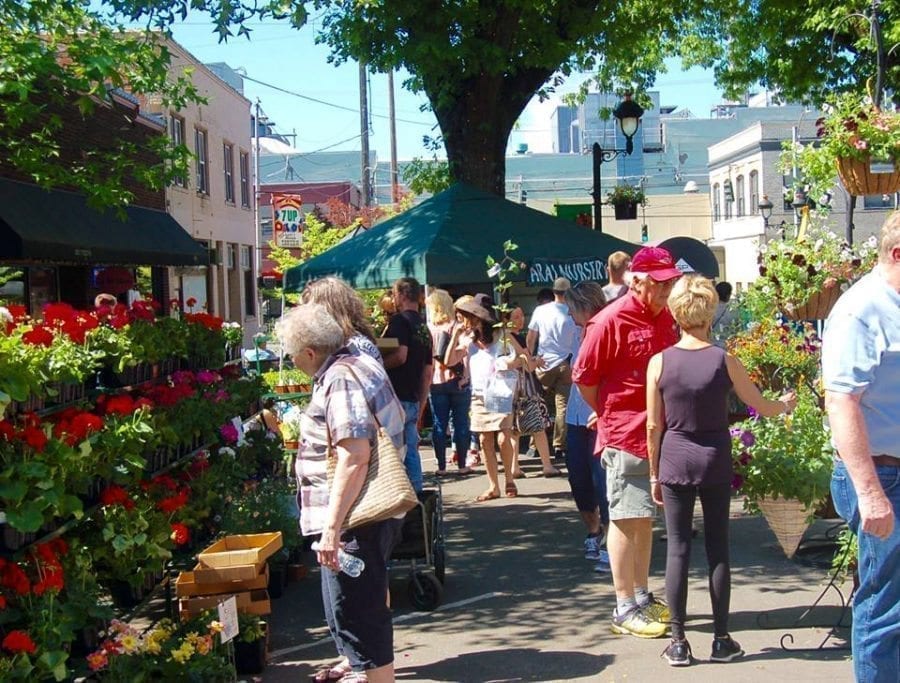 The 20th annual Camas Plant & Garden Fair will return to historic downtown Camas on Sat., May 13 from 9 a.m.-4 p.m. bringing visitors to town to explore the offerings of local nurseries, growers, and garden artists. Photo courtesy of Downtown Camas Association 