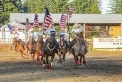 Vancouver Rodeo set to ride again