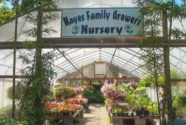Owner of Hayes Family Growers has been gardening since the age of six