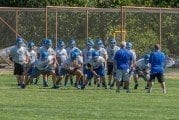 Veteran Wildcats poised for another deep playoff run