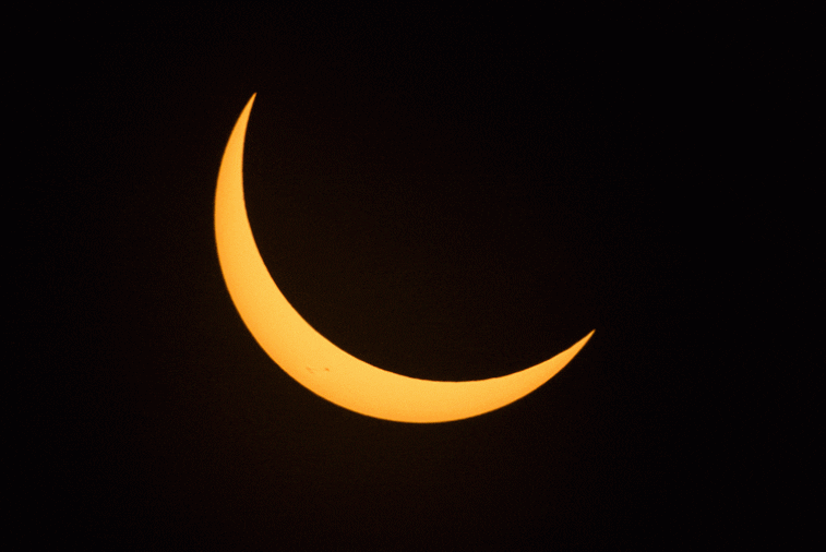 solar-eclipse-IMG_3916-copyright-Mike-Schultz