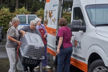 Local shelter helps dogs from Florida find new homes