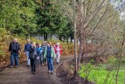 Neighborhood Tree Steward training applications open