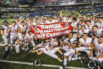 RPI for all WIAA team sports could arrive next school year