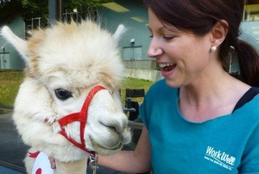 Alpacas, puppies and parrots, oh my!