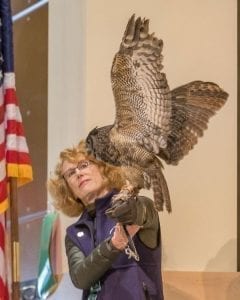 A great horned owl named Julio, handled by Audubon volunteer Katy Ehrlich, displays her wingspan at the Wild Birds of Prey presentation. Photo by Mike Schultz