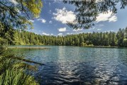 Area residents can fish Black Friday for big rainbow trout