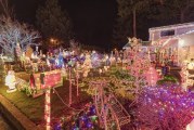 Local churches and organizations offer last minute Christmas activities